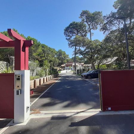 Appartement Soorts-Hossegor, 2 pièces, 4 personnes - FR-1-239-583 Esterno foto
